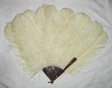 Antique Edwardian Fan White