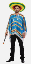 Blue Poncho Adult Fancy Dress