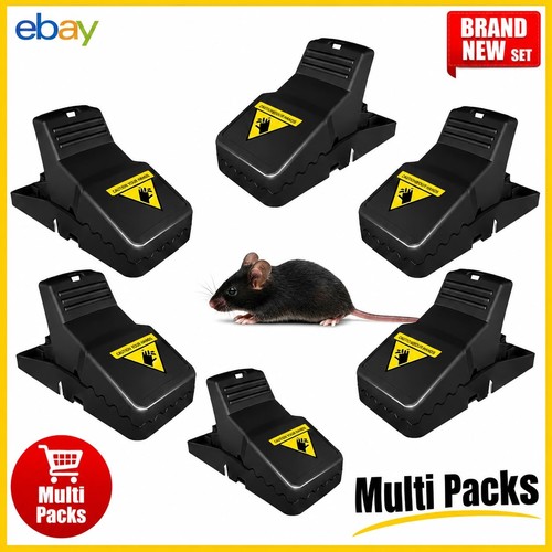 Multipack mouse traps mice - mouse,