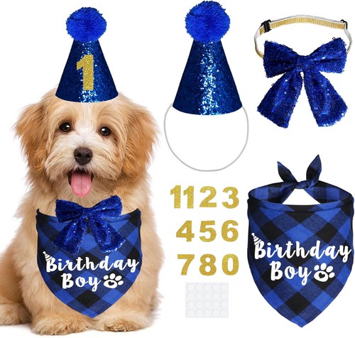 Dog birthday party supplies - dog,