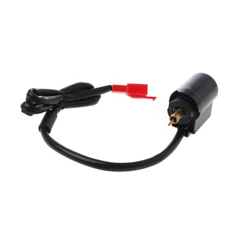 Electric auto choke carb - electric,