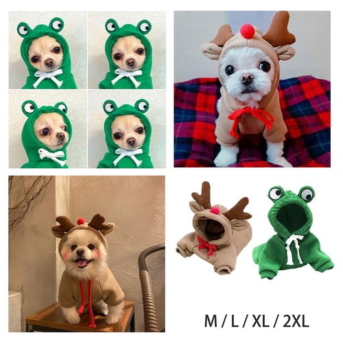 Pet apparel hoodie - hoodie, outdoor