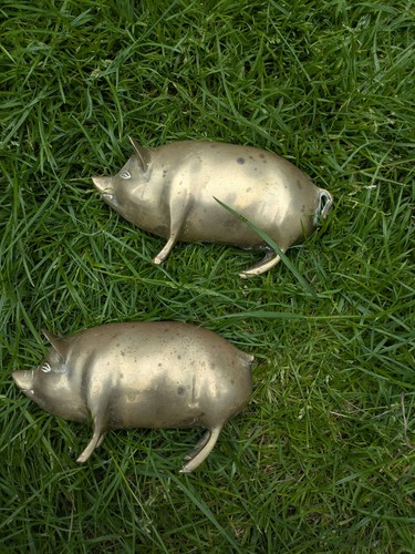 Pair brass pig - brass, money