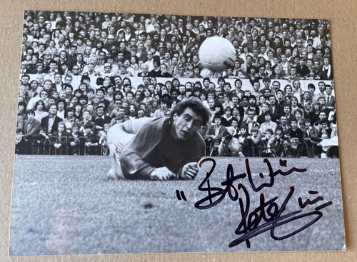 Nottingham forest european cup - nottingham,
