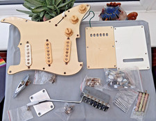 VINTAGE JOB LOT FENDER STRATOCASTER GUITAR PARTS TREMELO SCREWS ETC SQUIERS ?