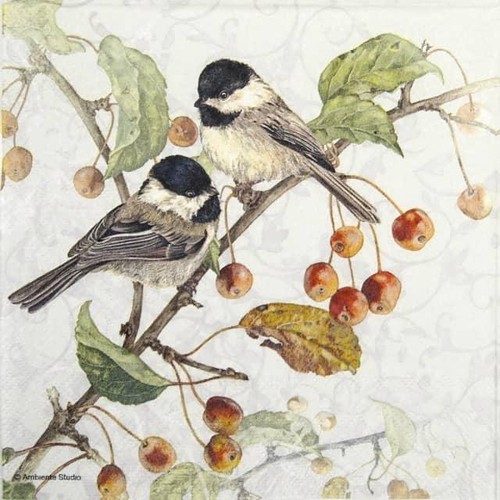 Single paper napkins for - paper,
