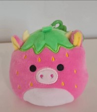  🩷 Squishmallow 8inch