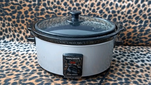 Morphy richards slow - richards, 3.5l