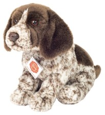 German Wirehaired Pointer by