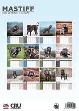 Mastiff Dog 2026 A3 Calendar