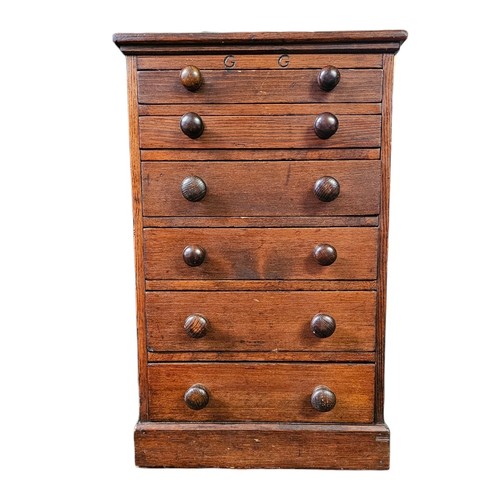 Victorian pine specimen - victorian,