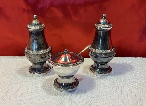 Ianthe silver plate salt - ianthe,