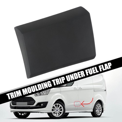 Left side body - side, moulding