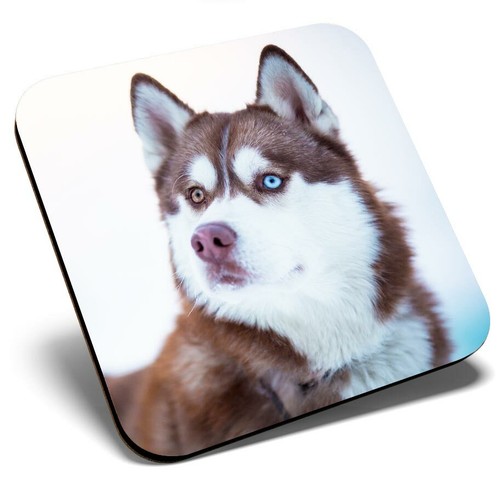 Square single coaster - coaster,