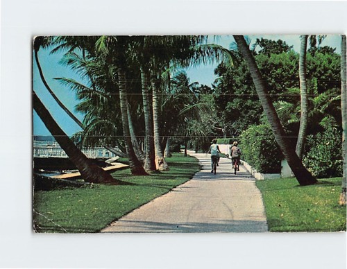 Postcard bicycle path - postcard,