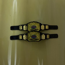 WWE Mattel Elite Classic Gold Backing Tag Team Championship Figure Title Belt 2x