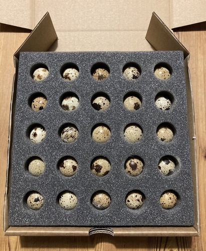 Quail egg foam - egg, x10