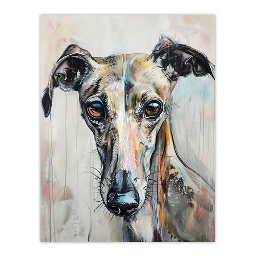 Greyhound whippet dog - greyhound,