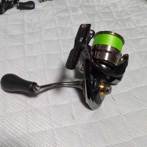 Daiwa luvias airity - luvias,