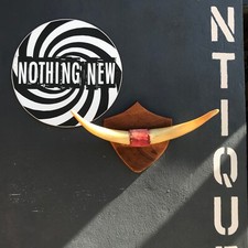 Antique Vintage Mounted Longhorn Cattle Horns On An Oak Shield Taxidermy