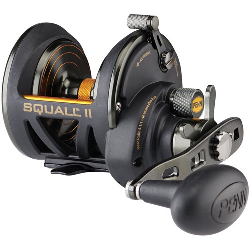 Penn squall 25n multiplier - penn, ii