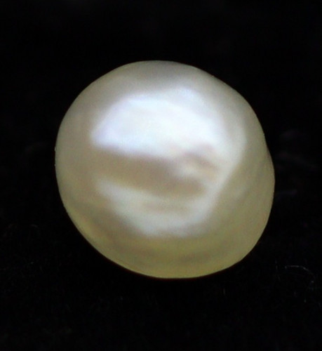 Round mixed shape - 5,