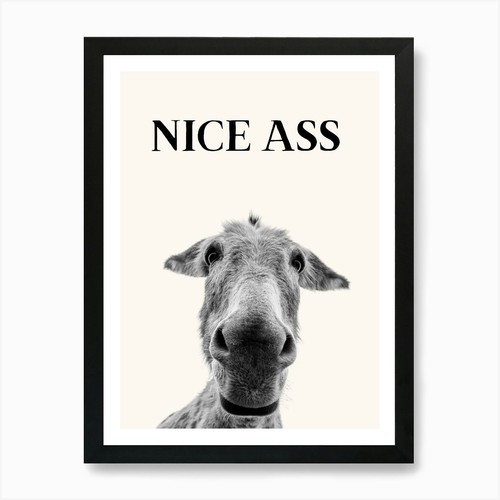Nice ass funny donkey - nice,