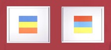 Ellsworth Kelly   "line form