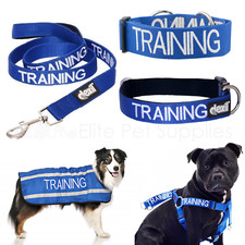 Dexil TRAINING Worded Dog