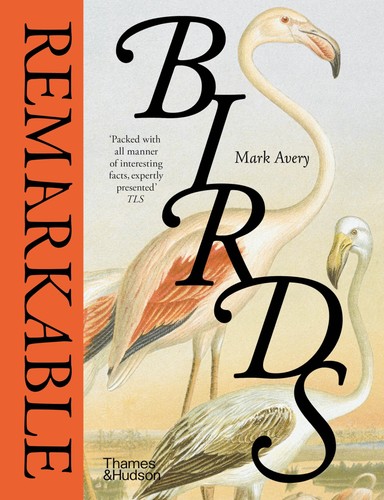 Remarkable birds avery mark - remarkable,