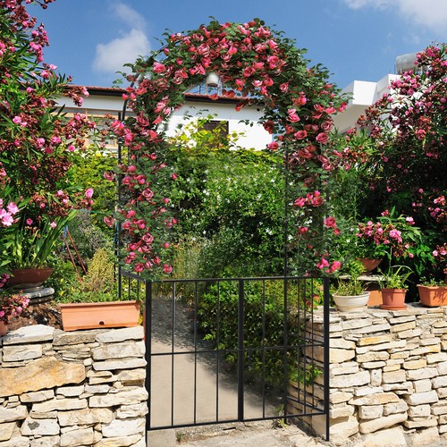 Garden arch arbor trellis - arch,