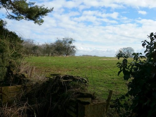 Photo 6x4 pasture land shutton - 6x4,