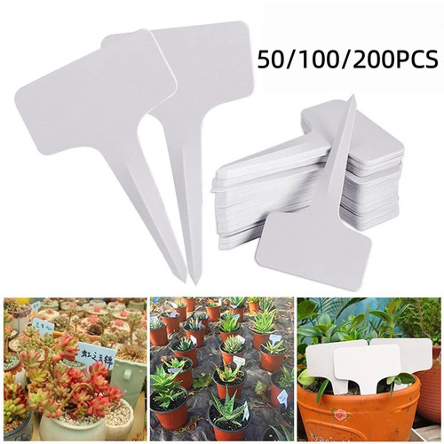 100 200pcs plastic - plastic, plant