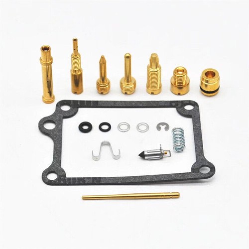 Carburetor rebuild kit - kit, repair