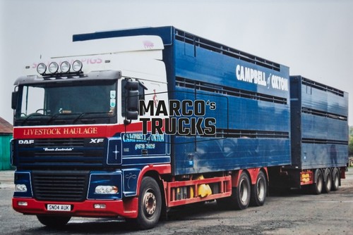 Truck photo daf cattle - truck,