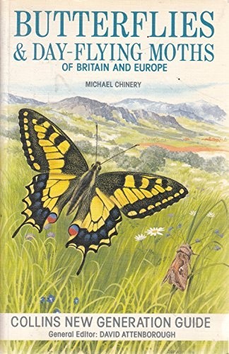 Butterflies and day flying - butterflies,