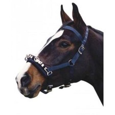 Kincade Coordinate Lunge