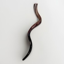 Shofar Yemenite Kudu Horn