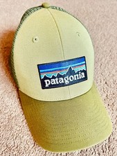 Patagonia P6 Logo LoPro