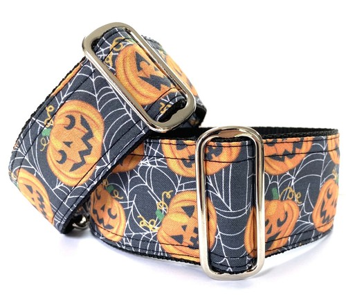 Halloween pumpkin greyhound - halloween,