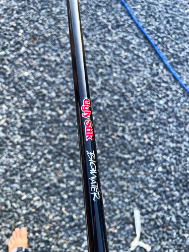 Ugly stik bigwater - stik,
