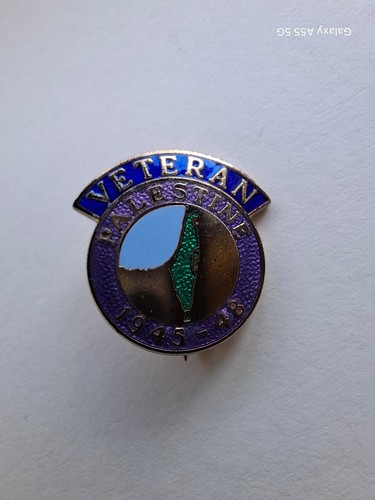 Palestine veteran pin badge - pin,