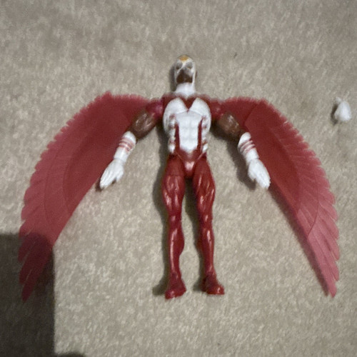 Falcon bird action - bird,