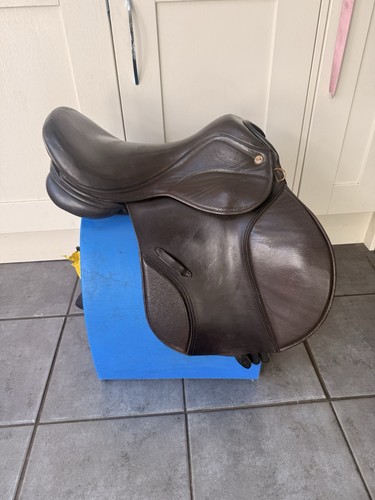 The saddle company - the,