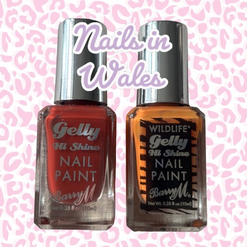 Barry nail paint duo set - barry,