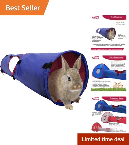 Interactive blue red tunnel - interactive, blue/red