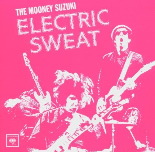 The mooney suzuki electric - suzuki,