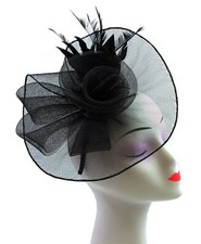 Large Elegant Headband & Clip