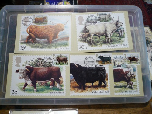 Phq cards set - 73, with