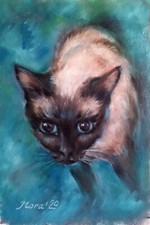 Siamese Kitten Portrait